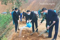 Mai Sơn ra quân trồng cây đầu xuân
