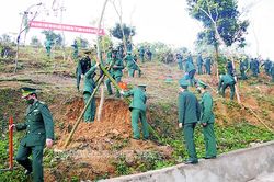 Lực lượng Biên phòng trồng cây đầu xuân