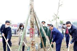 Hải Phòng trồng hàng nghìn cây xanh dịp xuân Nhâm Dần 2022