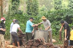 Mùa quay mật đầu xuân ở Đắk Lắk