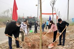 Huyện Điện Biên phát động Tết trồng cây năm 2022