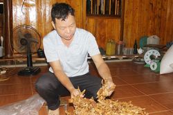 Chuyện kể về một 'thợ rừng'