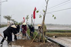 Hội Phụ nữ tỉnh ra quân xây dựng 'Đường cây phụ nữ'