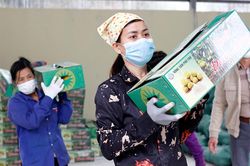 Nông nghiệp duy trì đà tăng trưởng, phát triển bền vững