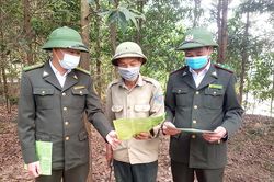 Tam Nông tăng cường công tác bảo vệ rừng