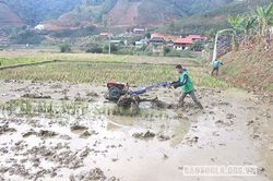 Nỗ lực để có những mùa vàng bội thu