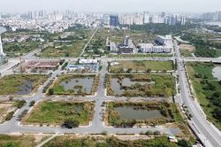 Sở Tư pháp TP.HCM báo cáo kết quả xác minh cuộc đấu giá lô đất bị Tân Hoàng Minh bỏ cọc