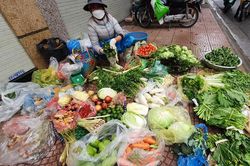 Mưa rét kéo dài khiến giá rau xanh vẫn cao