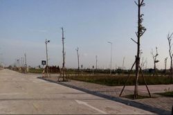Bộ Xây dựng: Xử lý nghiêm các vi phạm trục lợi, đấu giá đất