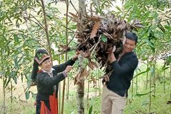 Phụ nữ vùng cao và câu chuyện quyền bình đẳng