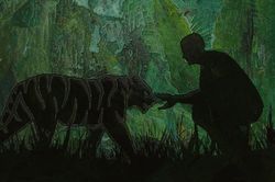 Người có duyên với hổ