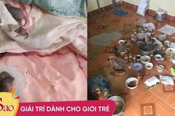 Trở lại phòng trọ sau Tết, sinh viên 'xỉu ngang, xỉu dọc' vì ám ảnh