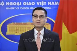 Thứ trưởng Ngoại giao Đặng Hoàng Giang hội đàm với các Trưởng đại diện UNDP và UNFPA tại Việt Nam