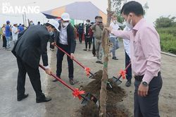Các địa phương phát động phong trào Tết trồng cây