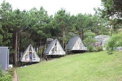 Pu Nhi Farm - điểm du lịch hấp dẫn du khách
