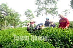 Phấn đấu có thêm 7 xã đạt chuẩn NTM nâng cao, NTM kiểu mẫu