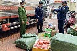 Xe tải chở gần 5 tấn thực phẩm không rõ nguồn gốc từ Lào Cai về Hà Nội