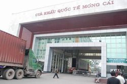 Xuất khẩu sang châu Á - châu Phi chiếm hơn 50% tổng kim ngạch xuất khẩu