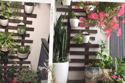 Cặp vợ chồng trẻ Hà Nội tự decor cho ban công diện tích 2,2m² ngập sắc xanh của cây cối chỉ với 1,8 triệu đồng