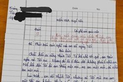 Bài văn thẳng thừng chê Tết của học sinh, cô giáo chấm 9 điểm