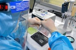 Sáng 11/02, Nghệ An ghi nhận 901 ca nhiễm Covid-19 mới, trong đó có 162 ca cộng đồng