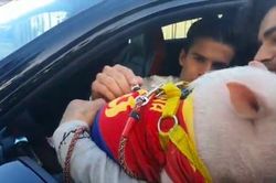 Chuyện lạ lùng: CĐV yêu cầu ngôi sao Barca ký vào… con lợn