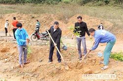Sơn La phấn đấu trồng 14,2 triệu cây xanh