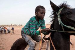 Văn hóa đua ngựa truyền thống ở Burkina Faso