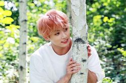 Ấm lòng BTS đua nhau ủng hộ 'Stay Alive' của em út Jungkook và Suga