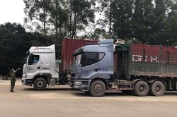 Lạng Sơn tạm dừng tiếp nhận xe chở hoa quả tươi xuất khẩu từ ngày 16/2