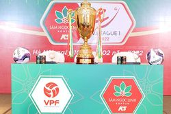 V-League được 'ngậm sâm'