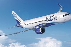 Gotadi 'tái khởi động' các tour quốc tế phục vụ du khách Việt