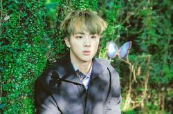 Jin BTS đăng ảnh đẹp sững sờ ngày Valentine, J-Hope cũng 'đổ'