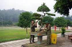 Trung đoàn 254 sẵn sàng đón nhận chiến sĩ mới