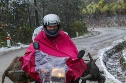 Miền Bắc sắp có đợt rét rất đậm, đe dọa hàng triệu gia súc