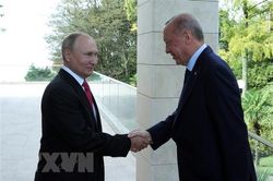 Thổ Nhĩ Kỳ hy vọng có thể tổ chức hội nghị ba bên với Nga và Ukraine