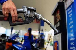 Chuyên gia: Điều hành giá xăng dầu không ổn