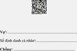 Từ 18/2, giấy khai sinh, đăng ký kết hôn điện tử có giá trị như bản giấy