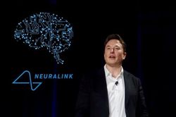 Công ty chip não của Elon Musk bị tố ngược đãi khỉ