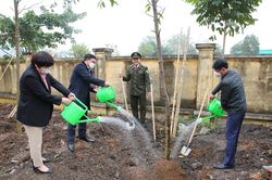 Ngành Nông nghiệp Ninh Bình hưởng ứng chương trình trồng 1 tỷ cây xanh của Chính phủ