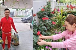 Nhìn đặc điểm này quanh biệt thự, thấy ngay Tuấn Hưng chịu chơi và chiều vợ số 1
