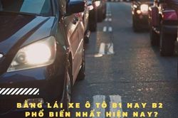 Nên chọn học bằng lái xe B1 hay B2?