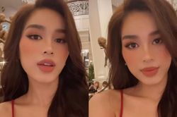 Hoa hậu Đỗ Thị Hà nói gì khi fans hỏi về việc dừng học để theo đuổi showbiz?