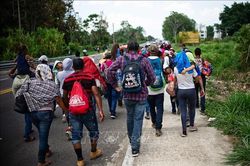 Mexico bắt giữ trên 1.000 người nhập cảnh trái phép trong 24 giờ qua
