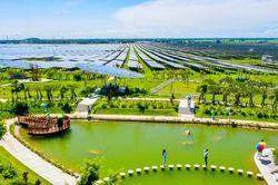 Giấc mơ phát triển năng lượng sạch