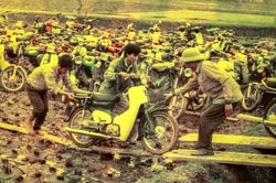 Cuộc đời sau ống kính: Gửi xe Hội Lim