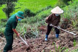 Tình quân dân nơi biên giới