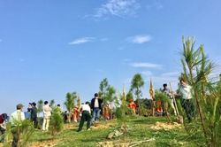 Văn hóa - Nghệ thuật Trồng 300 cây xanh tại lăng vua Gia Long