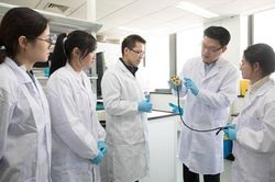 Trung Quốc lai tạo cá không xương và đánh bại các loại nấm mốc