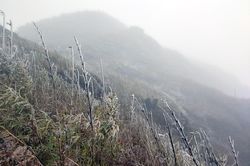 Băng giá phủ trắng đỉnh Lảo Thẩn (Y Tý)